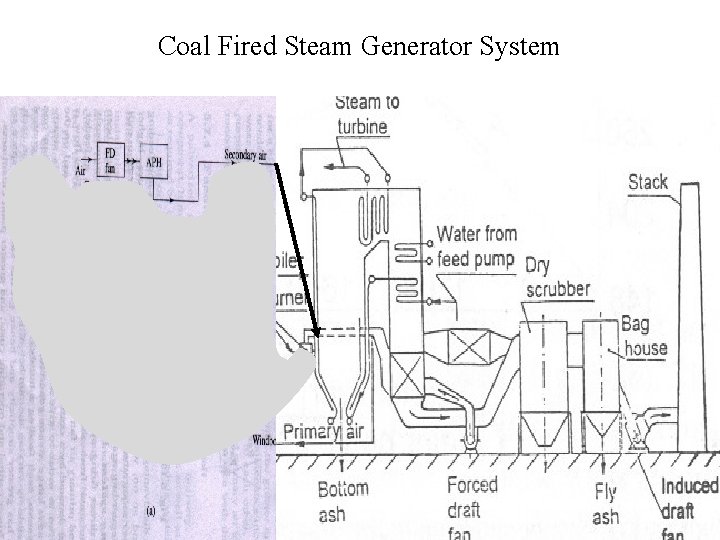 Coal Fired Steam Generator System 