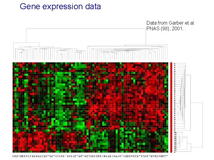 Gene expression data Data from Garber et al. PNAS (98), 2001. 