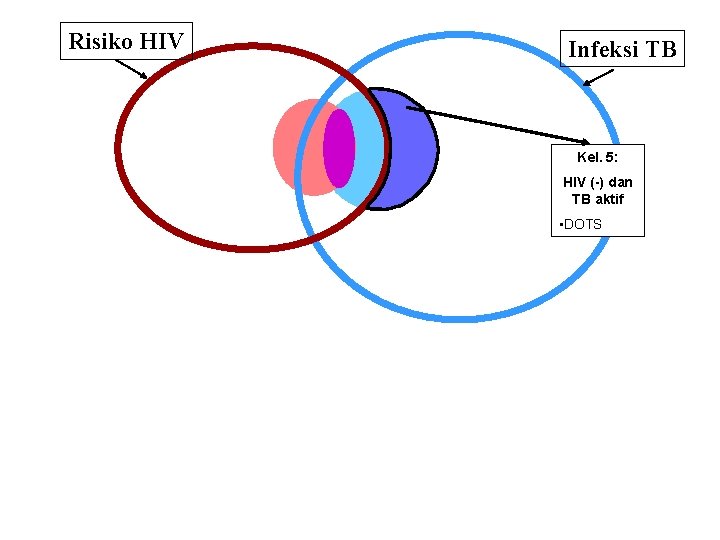 Risiko HIV Infeksi TB Kel. 5: HIV (-) dan TB aktif • DOTS 