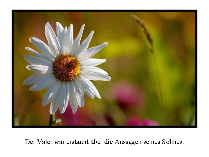 Der Vater war erstaunt über die Aussagen seines Sohnes. 