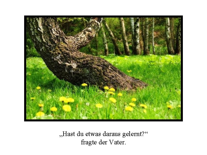 „Hast du etwas daraus gelernt? “ fragte der Vater. 