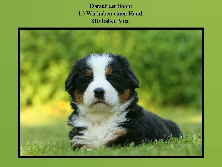 Darauf der Sohn: 1. ) Wir haben einen Hund; SIE haben Vier. 