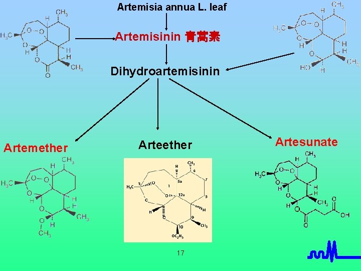 Artemisia annua L. leaf Artemisinin 青蒿素 Dihydroartemisinin Artemether Arteether 17 Artesunate 