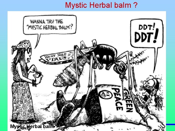 Mystic Herbal balm ? 31 
