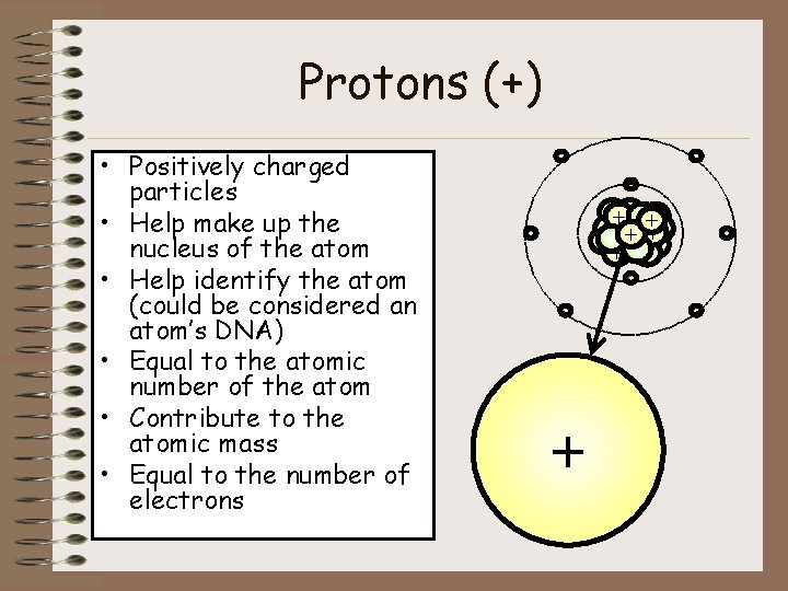 Protons (+) • Positively charged particles • Help make up the nucleus of the