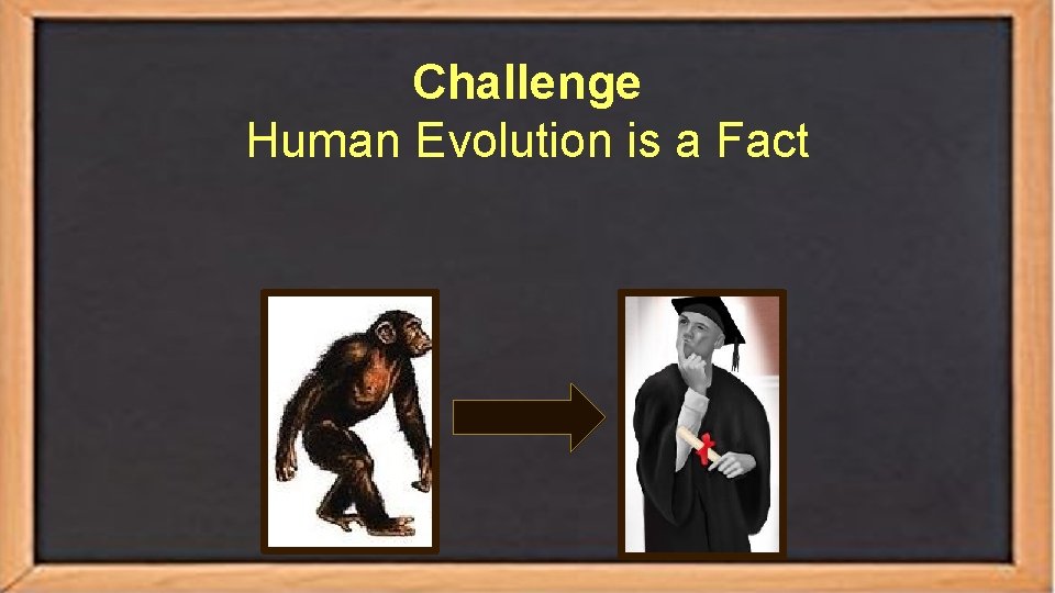 Challenge Human Evolution is a Fact 