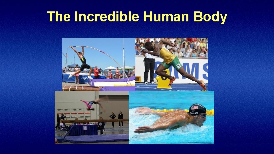 The Incredible Human Body 