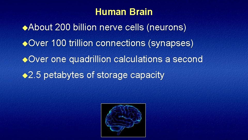 Human Brain u. About 200 billion nerve cells (neurons) u. Over 100 trillion connections