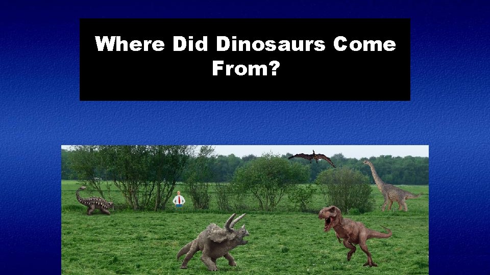 Where Did Dinosaurs Come From? 