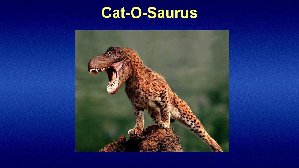 Cat-O-Saurus 