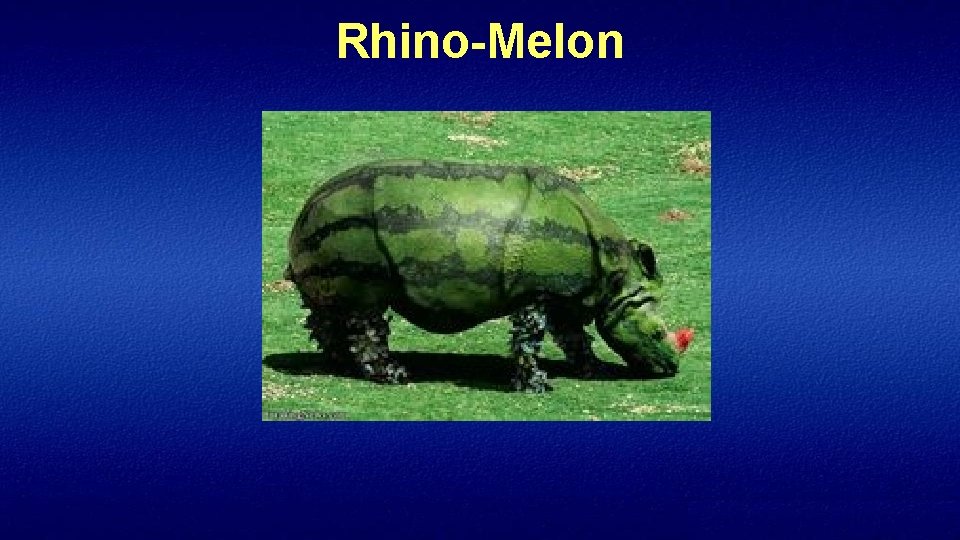 Rhino-Melon 