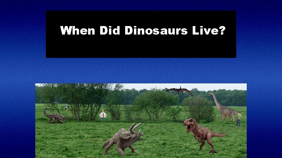 When Did Dinosaurs Live? 