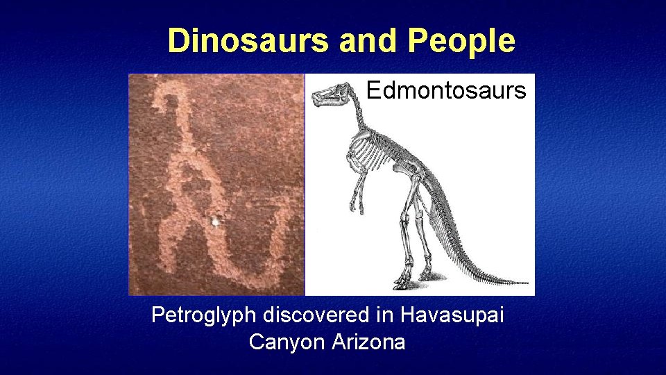 Dinosaurs and People Edmontosaurs Petroglyph discovered in Havasupai Canyon Arizona 