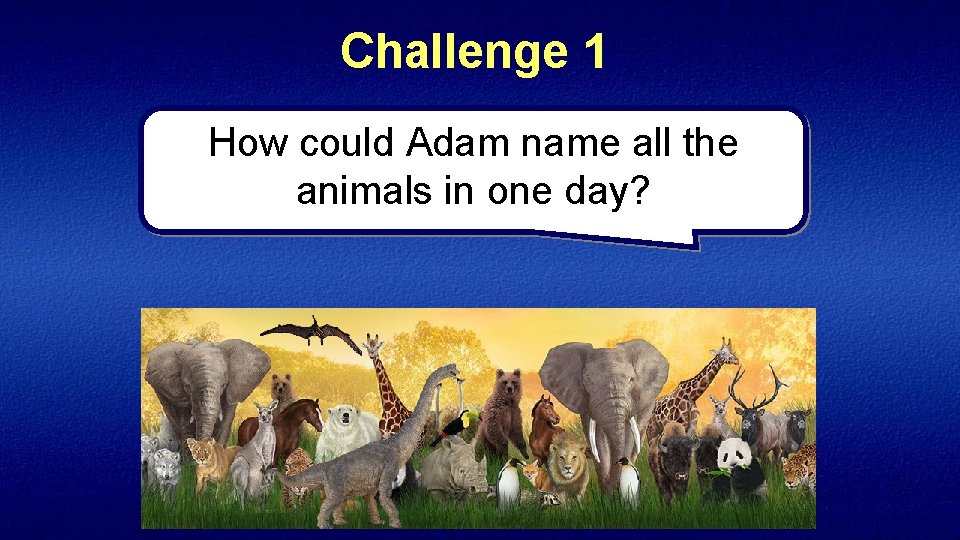 Challenge 1 How could Adam name all the animals in one day? 