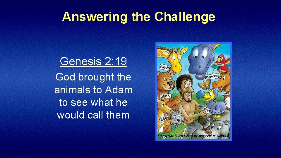 Answering the Challenge Genesis 2: 19 God brought the animals to Adam to see