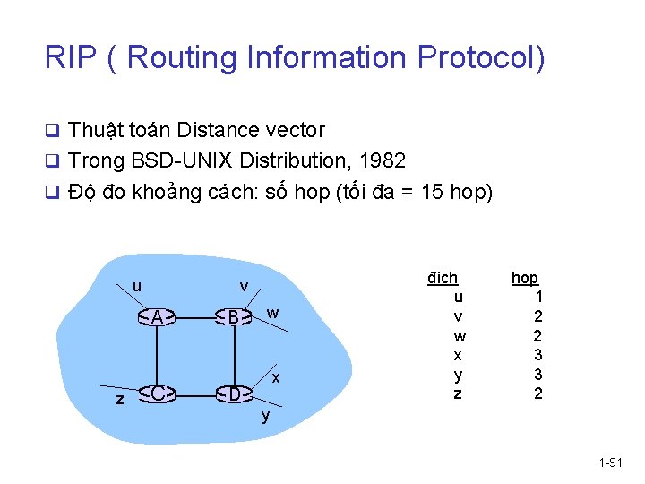 RIP ( Routing Information Protocol) q Thuật toán Distance vector q Trong BSD-UNIX Distribution,