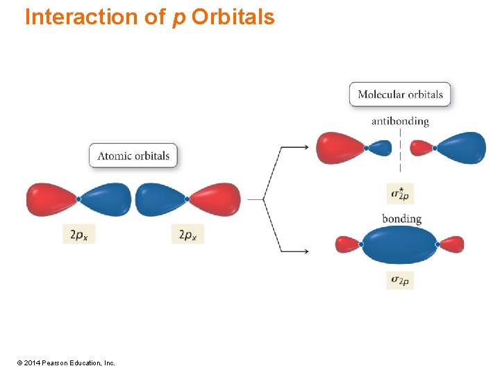 Interaction of p Orbitals © 2014 Pearson Education, Inc. 