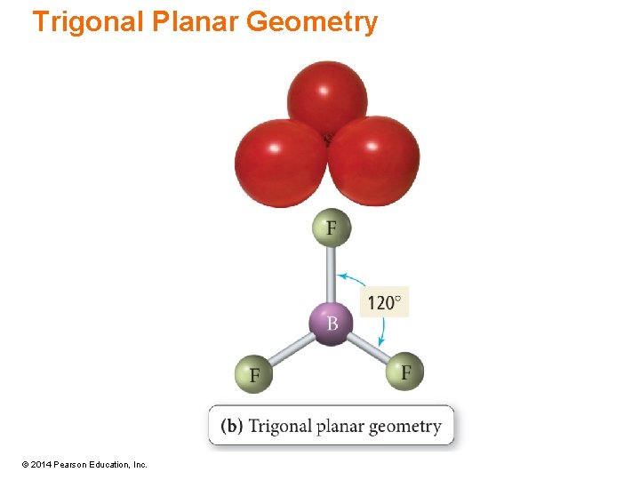 Trigonal Planar Geometry © 2014 Pearson Education, Inc. 