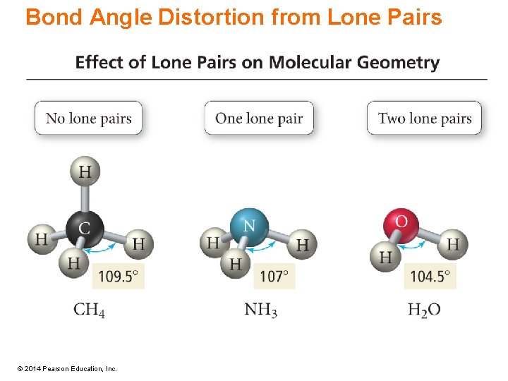 Bond Angle Distortion from Lone Pairs © 2014 Pearson Education, Inc. 