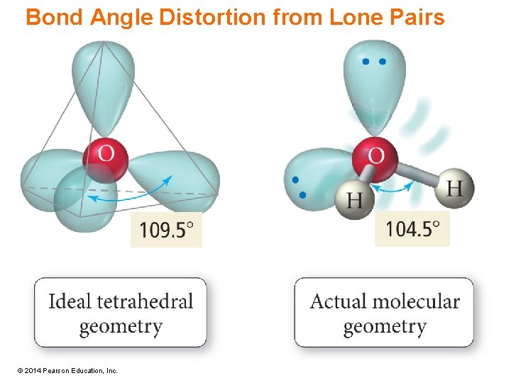 Bond Angle Distortion from Lone Pairs © 2014 Pearson Education, Inc. 