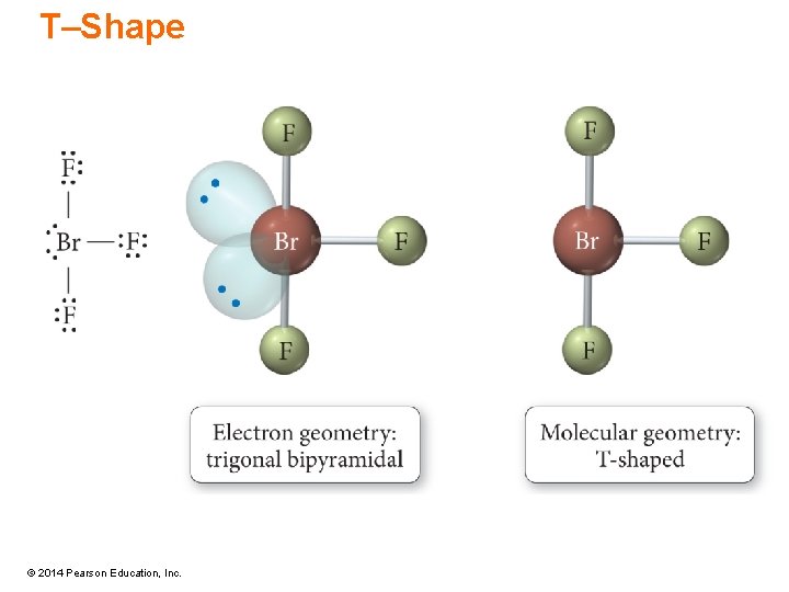 T–Shape © 2014 Pearson Education, Inc. 