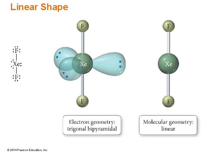 Linear Shape © 2014 Pearson Education, Inc. 