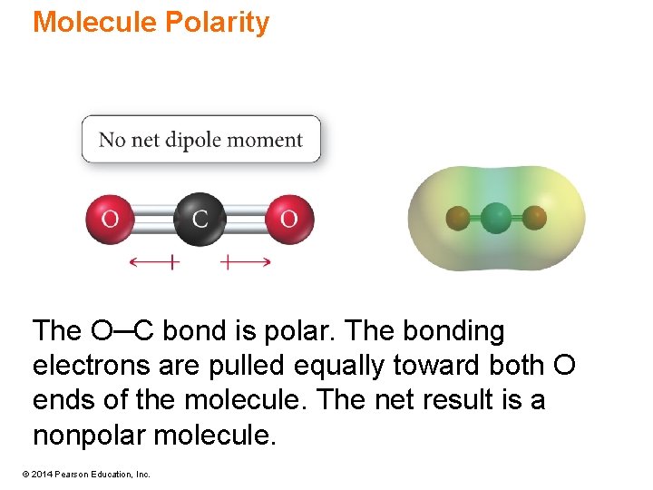 Molecule Polarity The O─C bond is polar. The bonding electrons are pulled equally toward