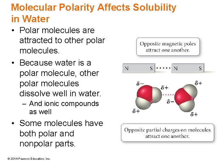 Molecular Polarity Affects Solubility in Water • Polar molecules are attracted to other polar