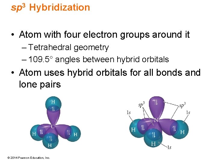 sp 3 Hybridization • Atom with four electron groups around it – Tetrahedral geometry