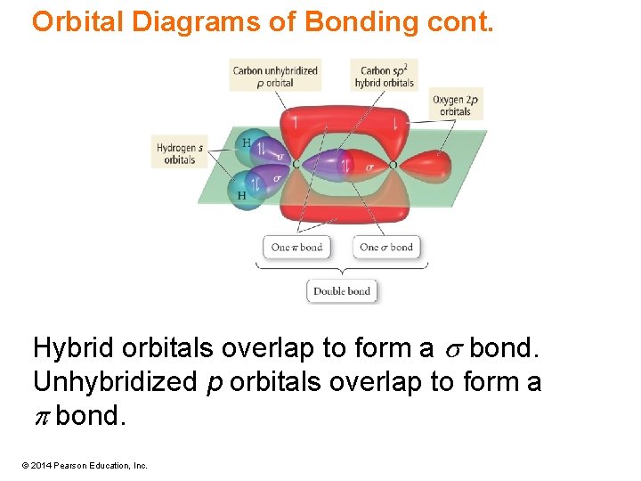 Orbital Diagrams of Bonding cont. Hybrid orbitals overlap to form a s bond. Unhybridized