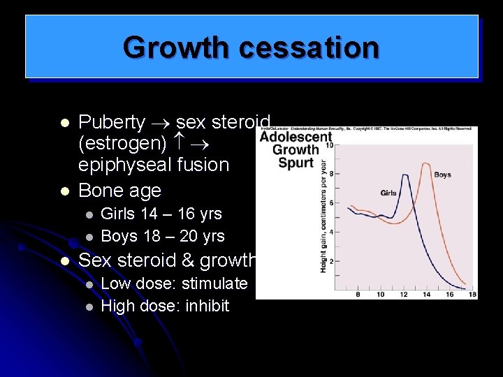 Growth cessation l l Puberty sex steroid (estrogen) epiphyseal fusion Bone age l l