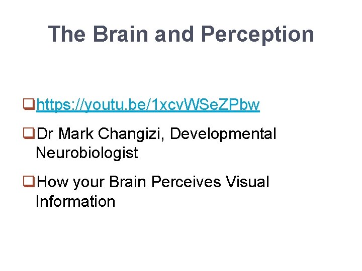 The Brain and Perception qhttps: //youtu. be/1 xcv. WSe. ZPbw q. Dr Mark Changizi,