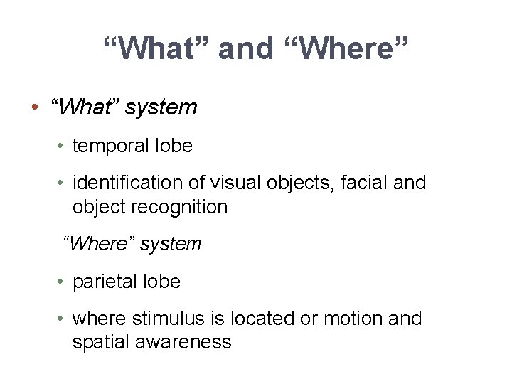 “What” and “Where” • “What” system • temporal lobe • identification of visual objects,