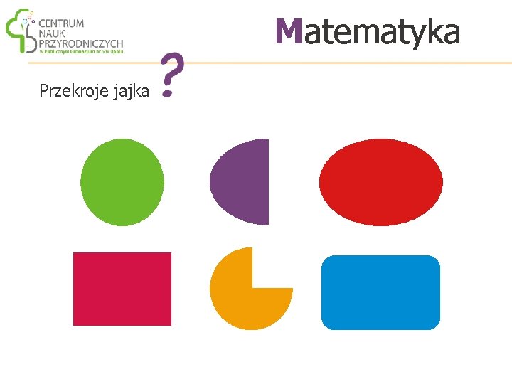 Matematyka Przekroje jajka 