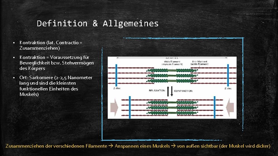 Definition & Allgemeines § Kontraktion (lat. Contractio = Zusammenziehen) § Kontraktion = Voraussetzung für