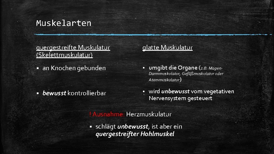 Muskelarten quergestreifte Muskulatur (Skelettmuskulatur) glatte Muskulatur § an Knochen gebunden § umgibt die Organe
