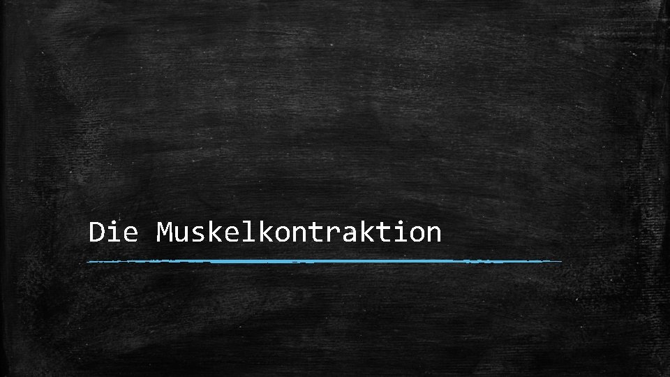 Die Muskelkontraktion 