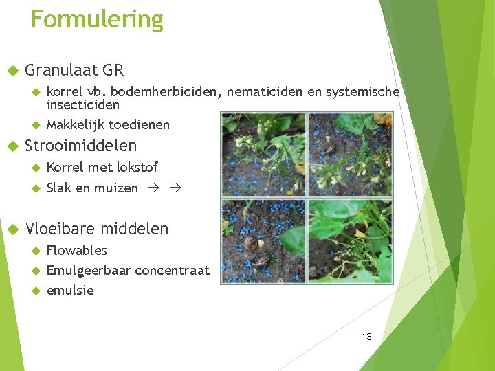 Formulering Granulaat GR korrel vb. bodemherbiciden, nematiciden en systemische insecticiden Makkelijk toedienen Strooimiddelen Korrel