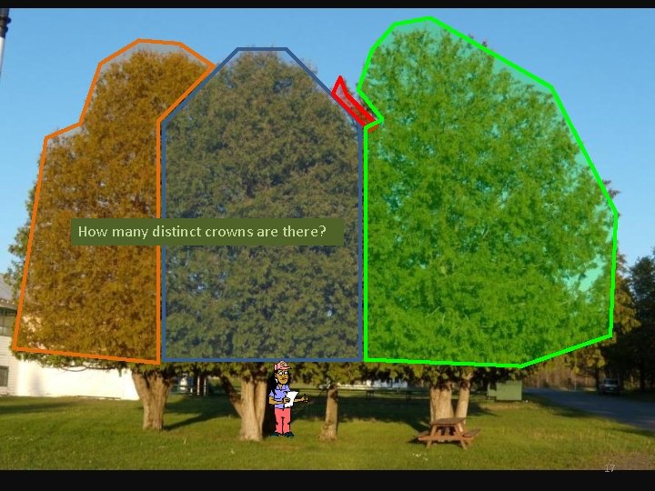 How many distinct crowns are there? 17 