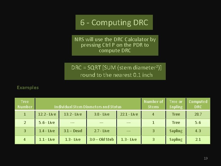 6 - Computing DRC NRS will use the DRC Calculator by pressing Ctrl P