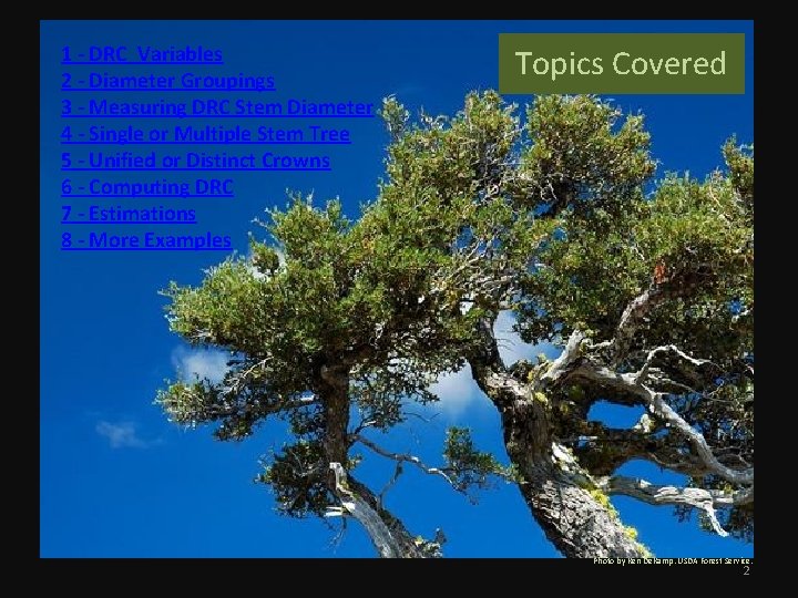 1 - DRC Variables 2 - Diameter Groupings 3 - Measuring DRC Stem Diameter