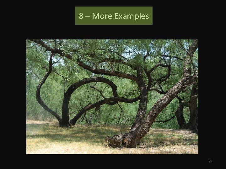 8 – More Examples 22 