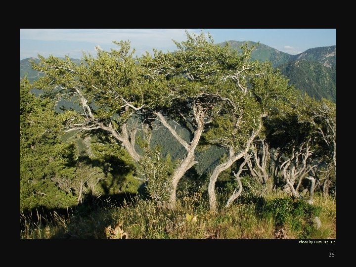 Photo by Hunt Tec LLC. 26 