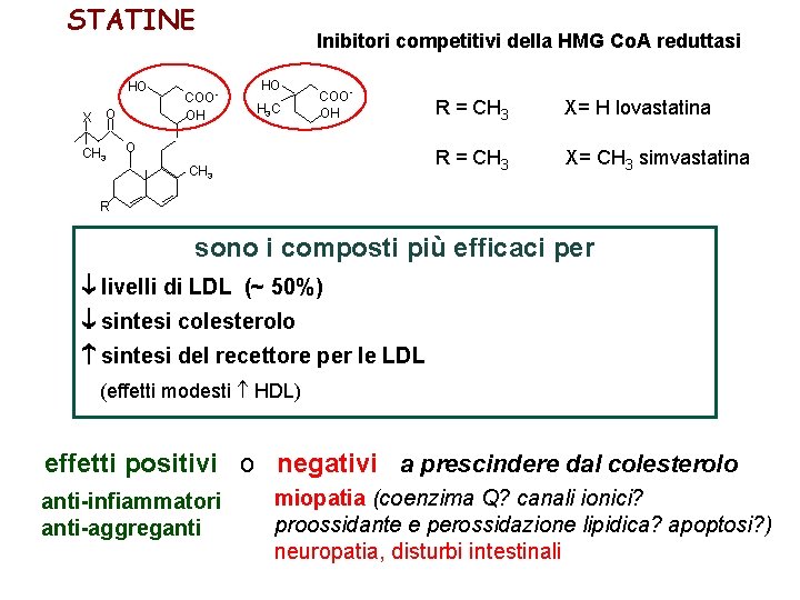 STATINE HO X O CH 3 COOOH Inibitori competitivi della HMG Co. A reduttasi