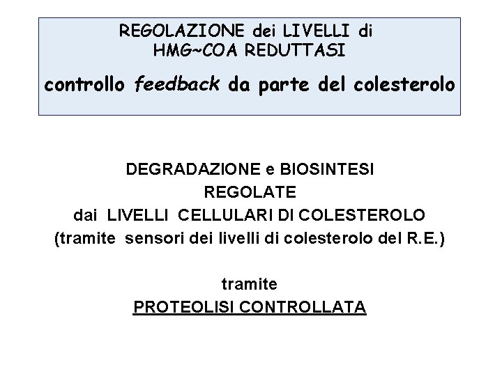 REGOLAZIONE dei LIVELLI di HMG~COA REDUTTASI controllo feedback da parte del colesterolo DEGRADAZIONE e