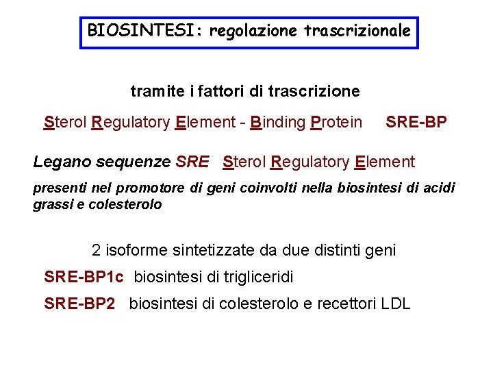 BIOSINTESI: regolazione trascrizionale tramite i fattori di trascrizione Sterol Regulatory Element - Binding Protein