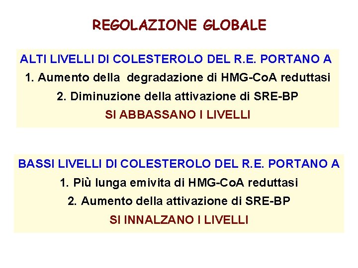 REGOLAZIONE GLOBALE ALTI LIVELLI DI COLESTEROLO DEL R. E. PORTANO A 1. Aumento della