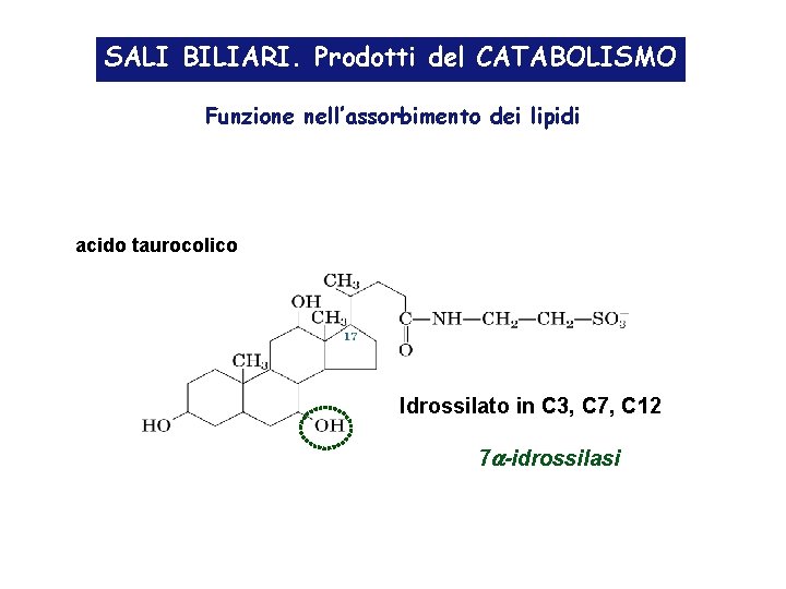SALI BILIARI. Prodotti del CATABOLISMO Funzione nell’assorbimento dei lipidi acido taurocolico Idrossilato in C