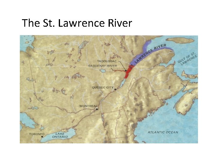 The St. Lawrence River 