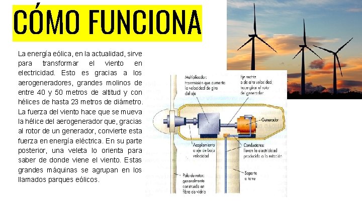CÓMO FUNCIONA La energía eólica, en la actualidad, sirve para transformar el viento en